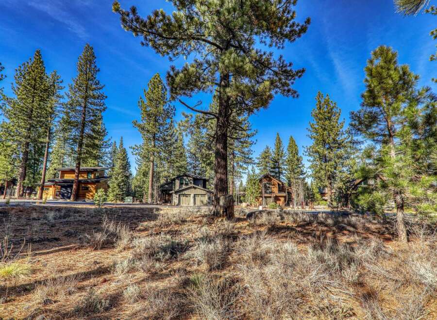 Nestled amidst towering pines, this stunning property offers a serene escape.