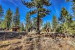 Nestled amidst towering pines, this stunning property offers a serene escape.