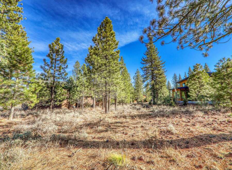 Discover the tranquility of this stunning property surrounded by lush pine trees.