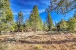 Discover the tranquility of this stunning property surrounded by lush pine trees.