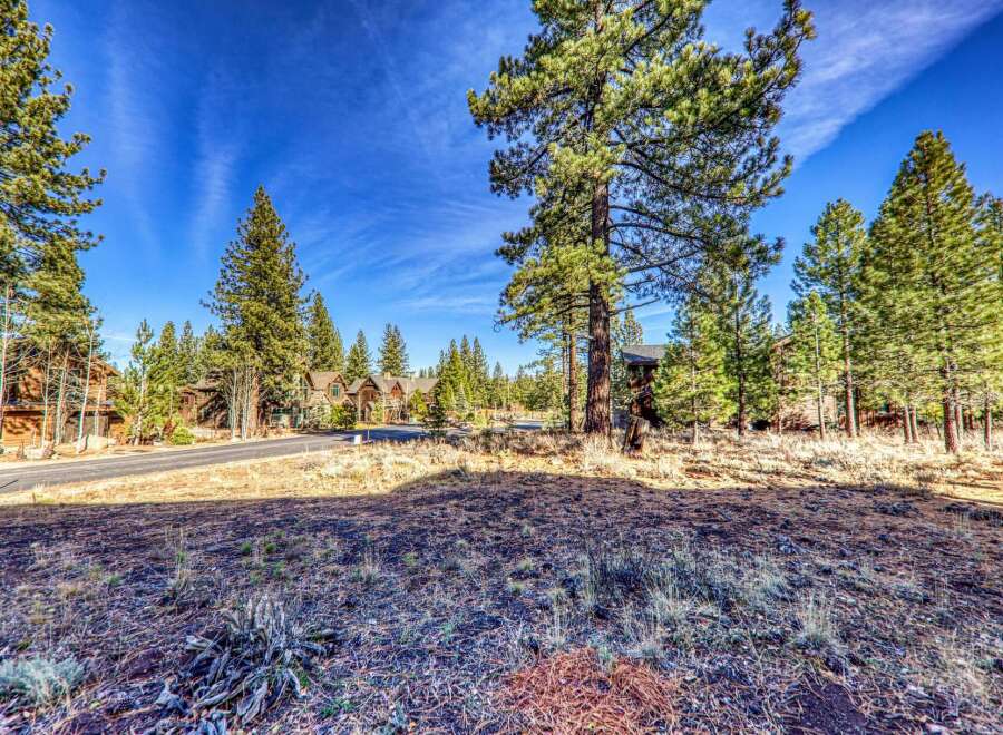 Discover the tranquility of this stunning property nestled amidst towering trees and a vibrant blue sky.