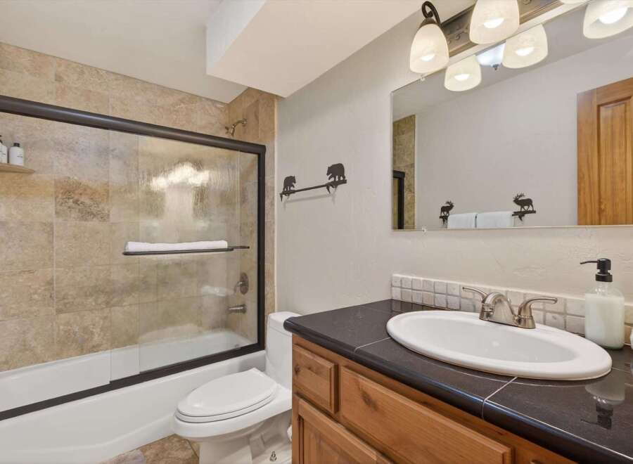 This charming bathroom features a rustic design with a tiled shower and a sleek black countertop.