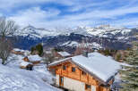 Discover the charm of this stunning mountain chalet nestled in a picturesque winter wonderland.