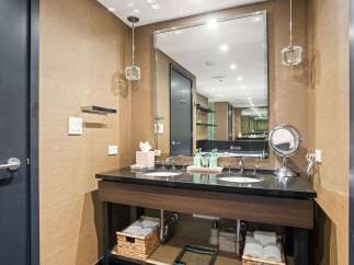 This luxurious bathroom boasts a sleek, modern design with a double vanity and a large mirror.