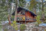 Nestled amidst towering trees, this stunning cabin offers a serene escape.