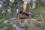 Nestled amidst towering trees, this charming cabin offers a serene escape.