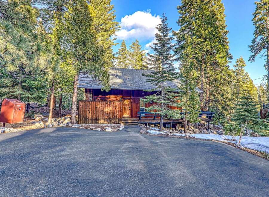 Nestled amidst towering trees, this charming cabin offers a serene escape.