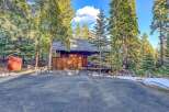 Nestled amidst towering trees, this charming cabin offers a serene escape.