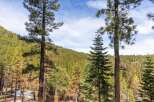 Discover the tranquility of nature with this stunning property nestled in a lush forest.