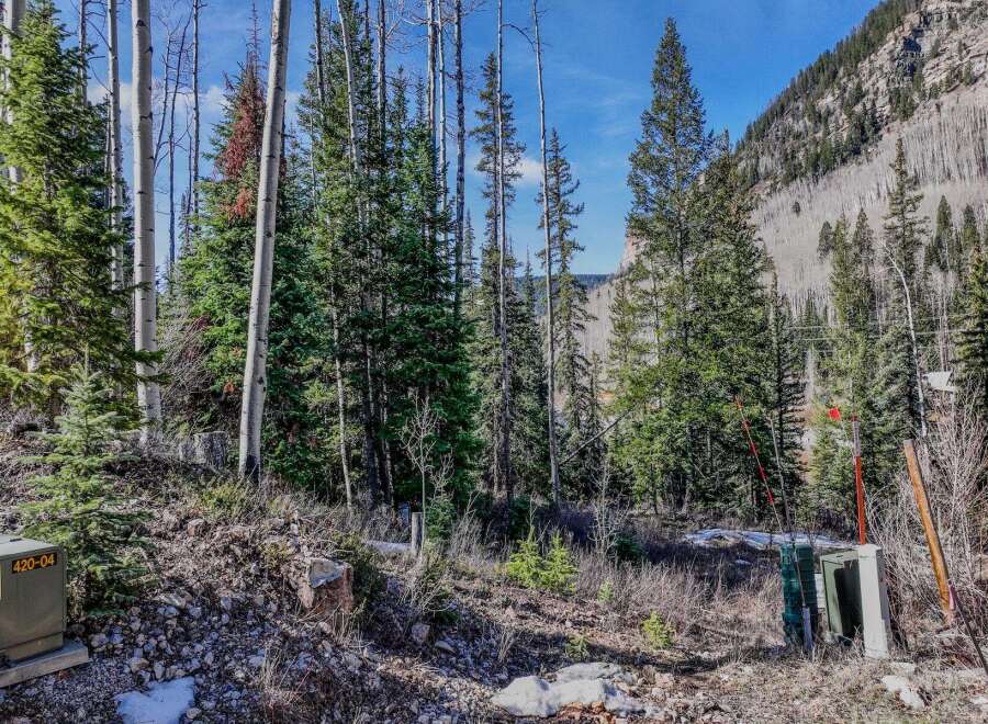 Explore the beauty of nature with this stunning property surrounded by lush trees and a breathtaking mountain backdrop.