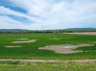 This expansive agricultural property offers a picturesque landscape, perfect for farming or investment.