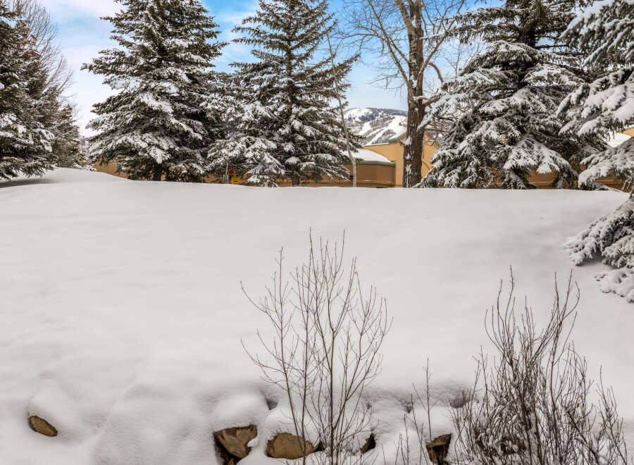 Experience the serene beauty of winter in this stunning property.