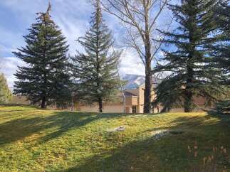 This stunning property boasts a serene setting with lush greenery and mature trees, creating a peaceful atmosphere.