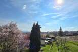 Enjoy breathtaking views from this stunning property, featuring lush greenery and a vibrant sky.
