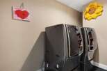 This laundry room features modern appliances and a charming aesthetic.