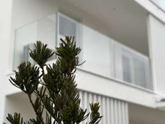 Modern architecture meets natural beauty in this stunning property.