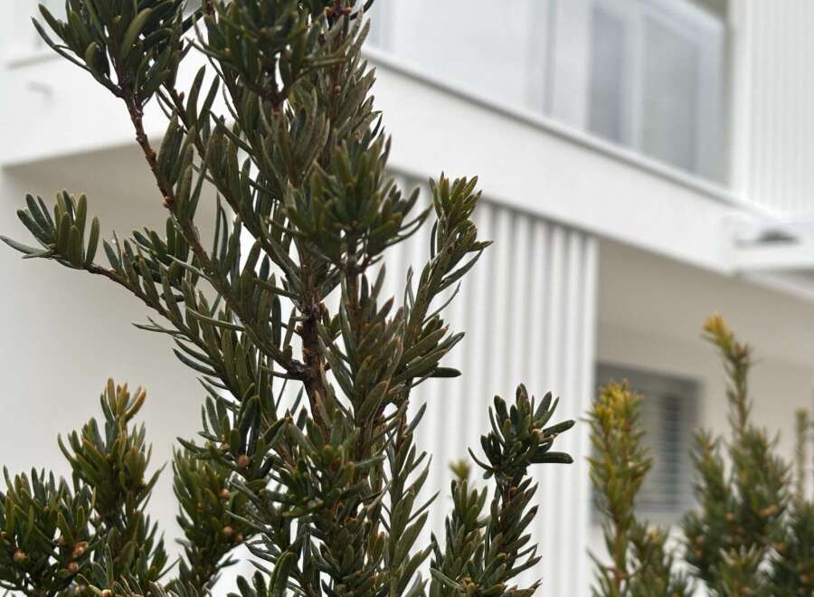 Discover the perfect blend of nature and modern living with this stunning property.