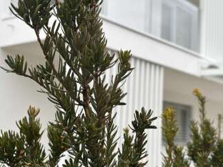 Discover the perfect blend of nature and modern living with this stunning property.
