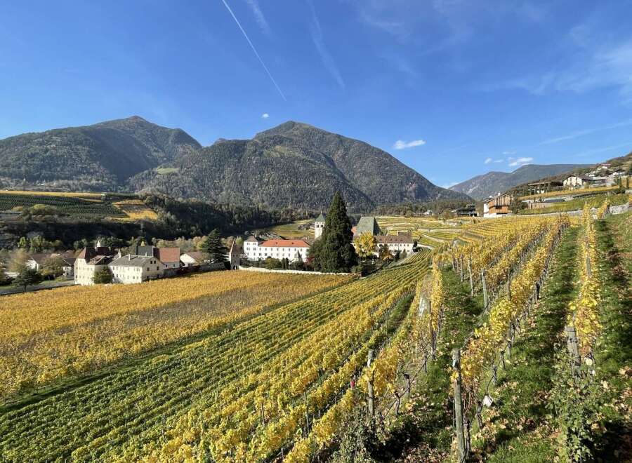 Discover the charm of this picturesque vineyard property nestled in a stunning mountain setting.
