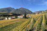 Discover the charm of this picturesque vineyard property nestled in a stunning mountain setting.