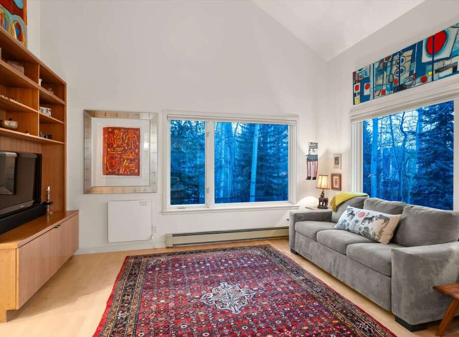 Step into this inviting living space, featuring a cozy gray sofa and a vibrant, patterned rug that adds warmth and character.