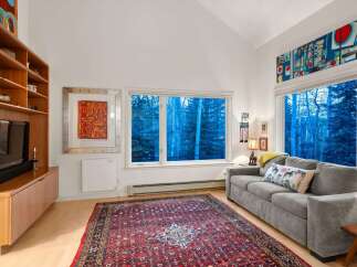 Step into this inviting living space, featuring a cozy gray sofa and a vibrant, patterned rug that adds warmth and character.