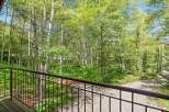 Enjoy the serene mountain views from this charming property, surrounded by a lush forest of aspen trees.