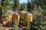 Nestled amidst towering trees, this charming property offers a serene escape.