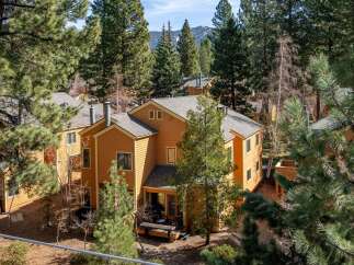 Nestled amidst towering trees, this charming property offers a serene escape.