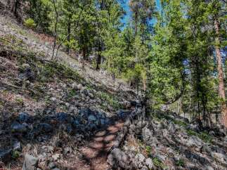 Explore the beauty of nature with this stunning property! This image showcases a picturesque trail winding through a lush forest, perfect for outdoor enthusiasts.