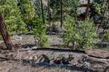 Escape to your own private oasis with this stunning property nestled in a serene, wooded setting.