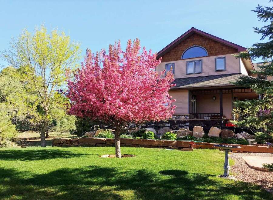 This stunning property boasts a beautifully landscaped yard with vibrant trees and lush green grass, creating a welcoming curb appeal.