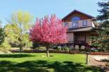 This stunning property boasts a beautifully landscaped yard with vibrant trees and lush green grass, creating a welcoming curb appeal.
