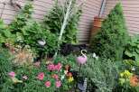 Discover the charm of this beautifully landscaped garden, a true oasis of tranquility.