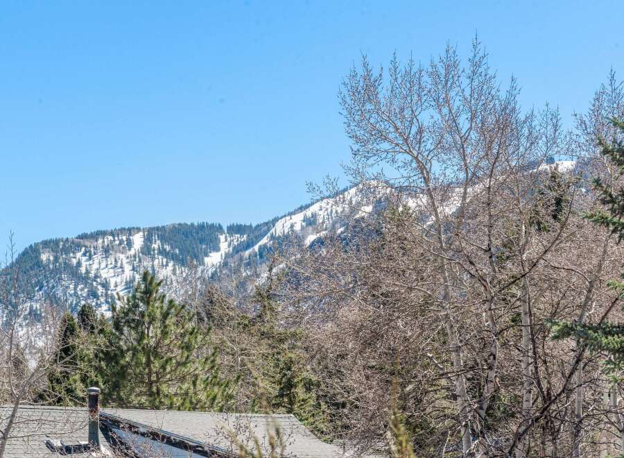 Enjoy breathtaking mountain views from this stunning property.