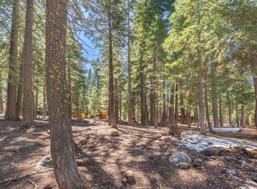 Discover the tranquility of this stunning property nestled in a lush forest setting.