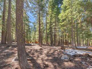 Discover the tranquility of this stunning property nestled in a lush forest setting.