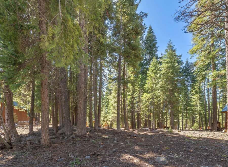 Discover the tranquility of this stunning property surrounded by towering trees.