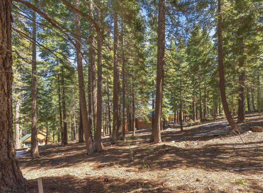 Discover the tranquility of this stunning property nestled in a lush forest setting.