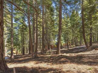 Discover the tranquility of this stunning property nestled in a lush forest setting.