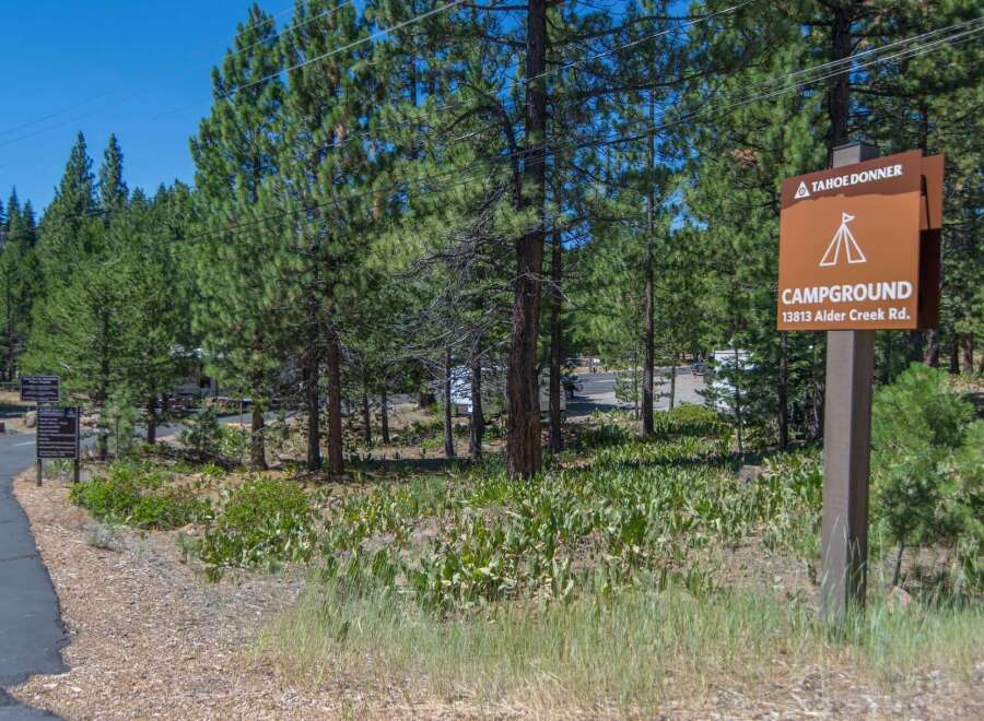 Discover the tranquility of Tahoe Donner Campground, nestled amidst towering trees and lush greenery.