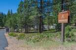 Discover the tranquility of Tahoe Donner Campground, nestled amidst towering trees and lush greenery.