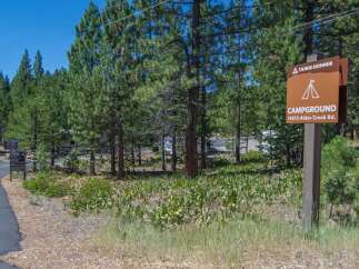 Discover the tranquility of Tahoe Donner Campground, nestled amidst towering trees and lush greenery.