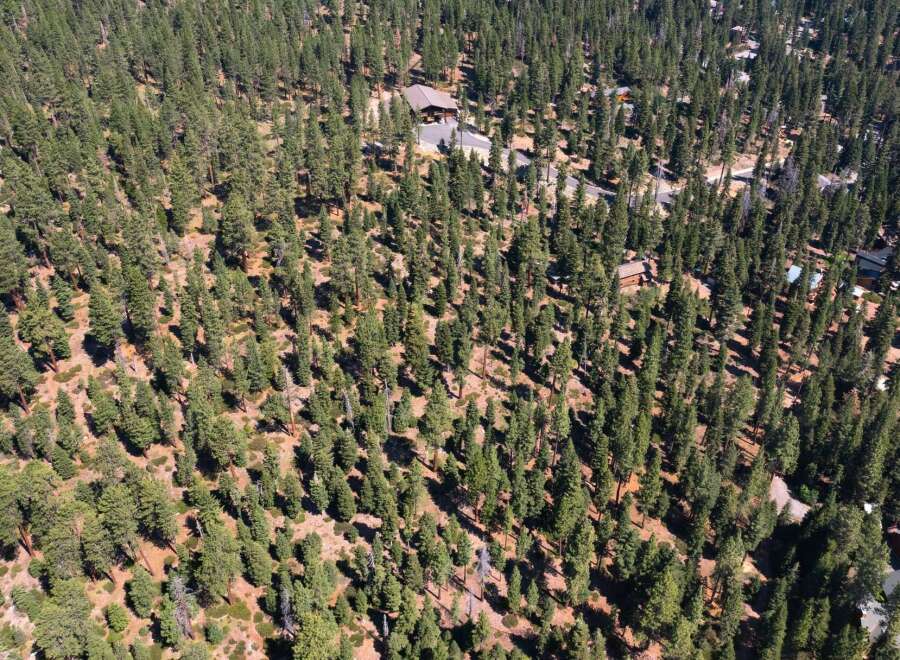 Nestled amidst a lush forest, this property offers unparalleled privacy and tranquility.
