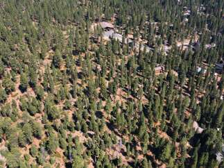 Nestled amidst a lush forest, this property offers unparalleled privacy and tranquility.
