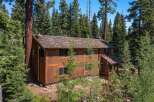 Nestled amidst towering trees, this stunning cabin offers a serene escape.
