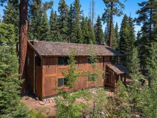 Nestled amidst towering trees, this stunning cabin offers a serene escape.
