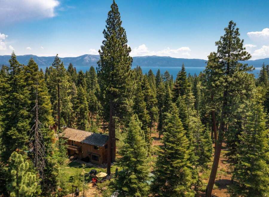 Nestled amidst a lush forest, this stunning property offers unparalleled privacy and tranquility.