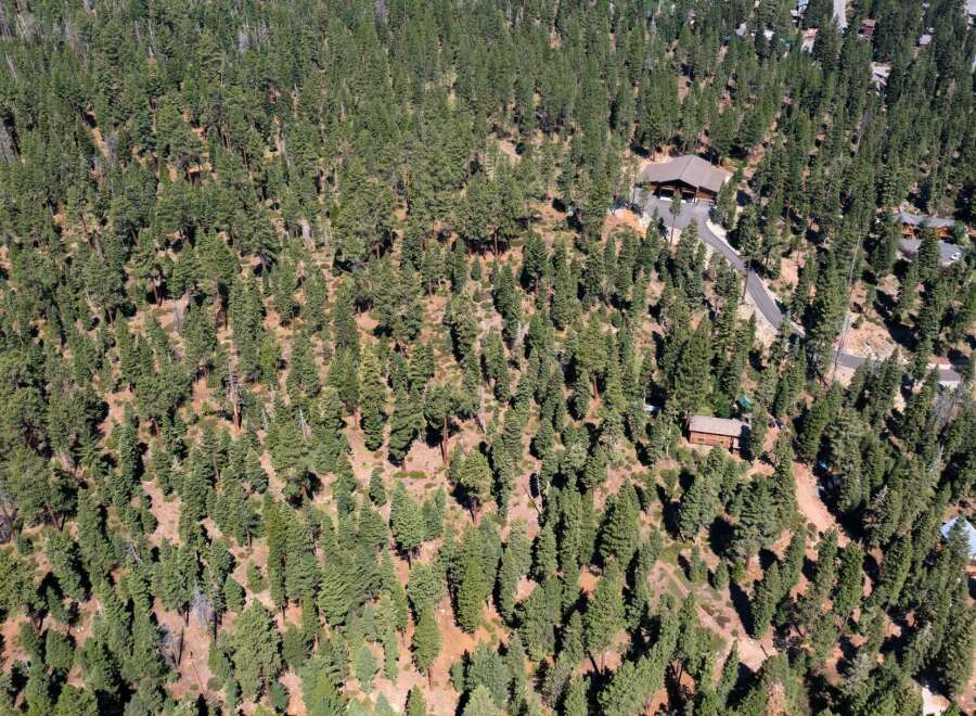 Nestled amidst a lush forest, this property offers unparalleled privacy and tranquility.
