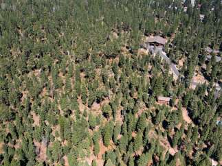 Nestled amidst a lush forest, this property offers unparalleled privacy and tranquility.